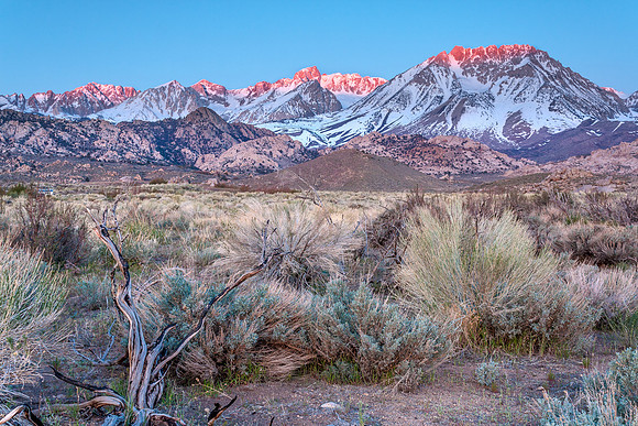 CH110430_ButtermilkMeadow_0022