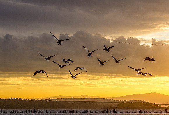 CH151025_ColumbiaRiverSunrise_136-Edit