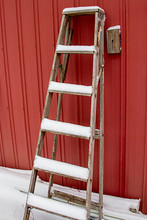CH140207_SnowDay_MalloyWay_068