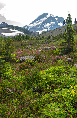 CH140804_Mt.Hood_VistaRidge_042