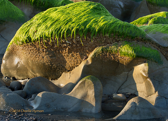 CH140726_OlympicPeninsula_RubyBeach_243