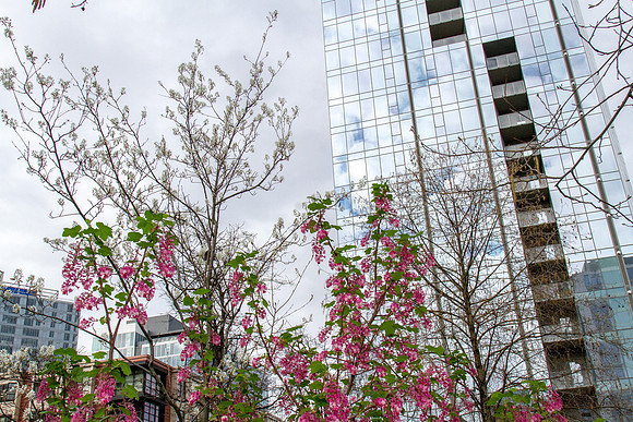 CH160319_OldTownPDX_180
