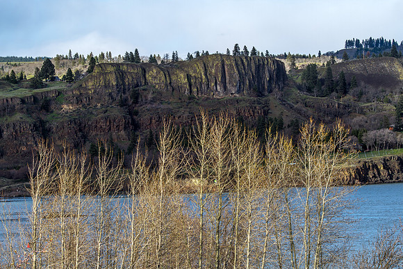 CH140327_MemalooseStatePark_005