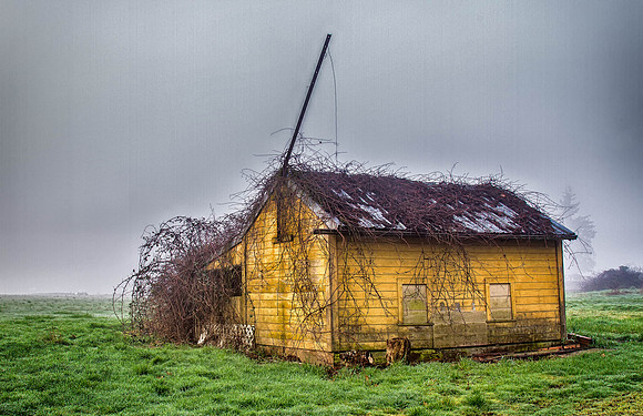 CH150214_Fog_CoffeeCreek_045-Edit-Edit