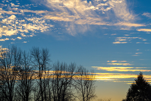 CH140126_Sunset_Pasture_013
