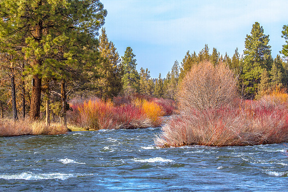 CH140324_TumaloStatePark_009